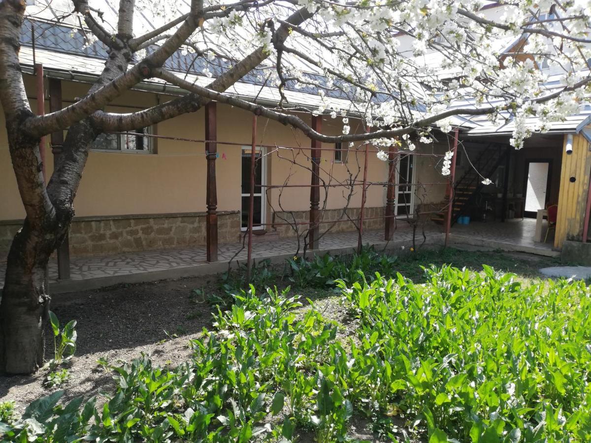 Hotel Casa BUCUR Tîrgu Ocna Exterior foto